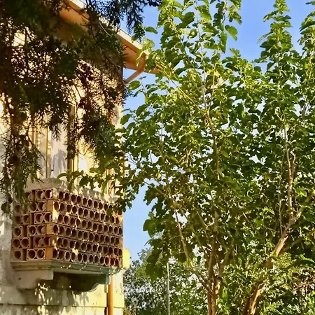 I 3 Falchi 3* Pennadomo