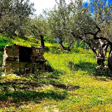 I 3 Falchi Pennadomo