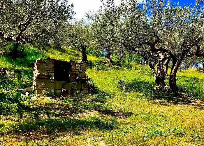 I 3 Falchi Pennadomo